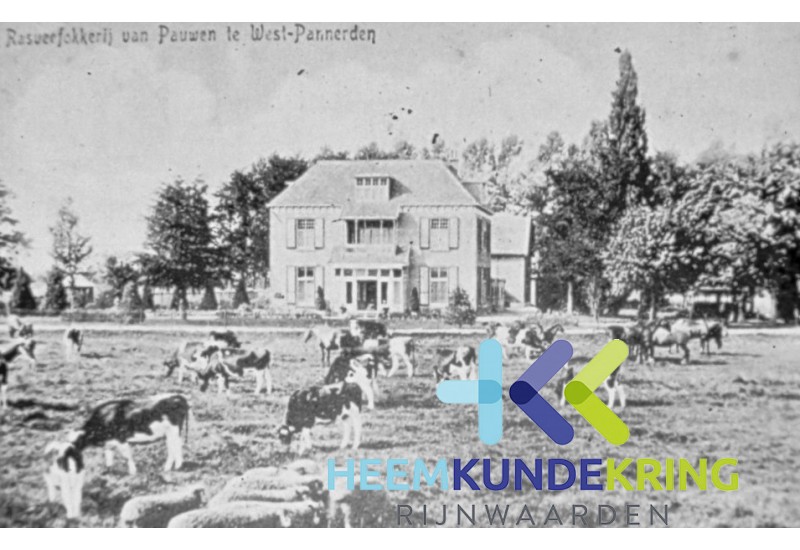 Pannerden West Doornenburg (8)